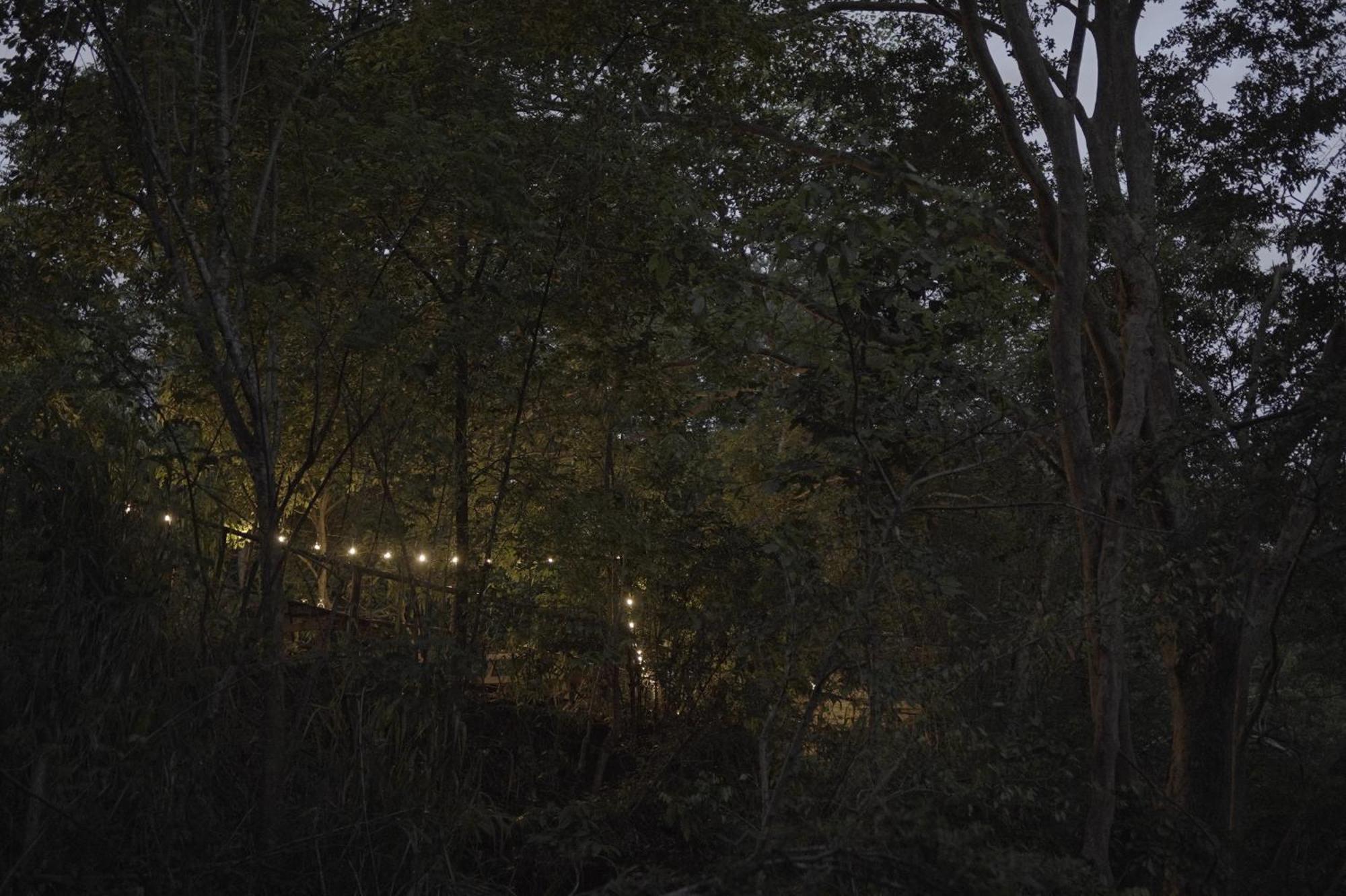 River Glamping By Gaga Bees ウダワラウェ エクステリア 写真