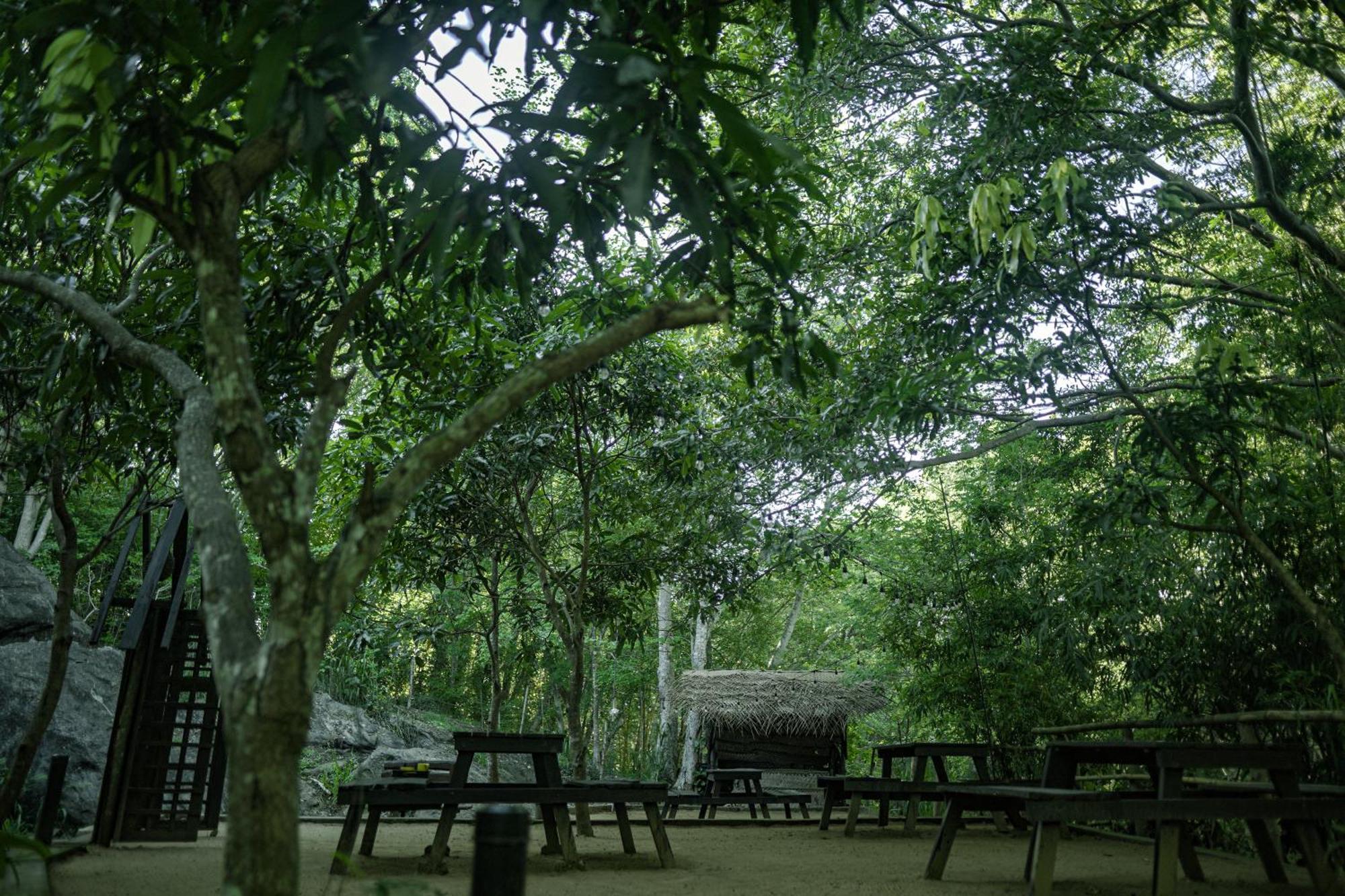 River Glamping By Gaga Bees ウダワラウェ エクステリア 写真
