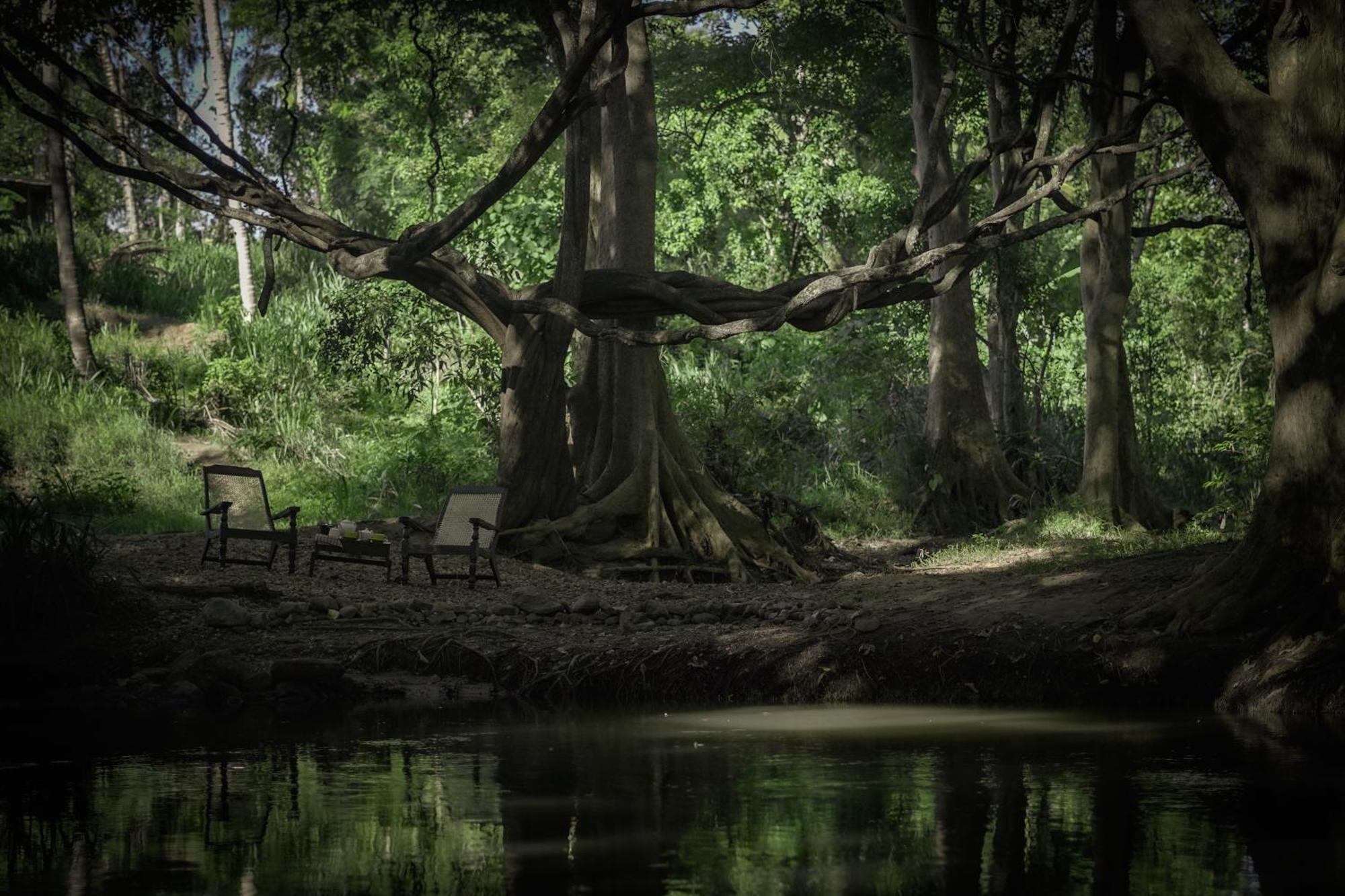 River Glamping By Gaga Bees ウダワラウェ エクステリア 写真