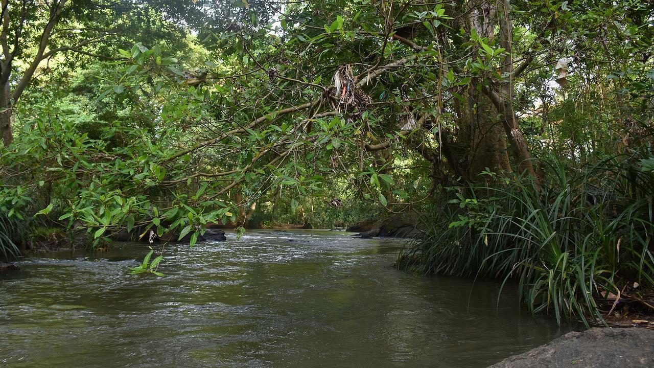 River Glamping By Gaga Bees ウダワラウェ エクステリア 写真
